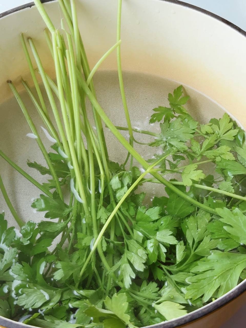 Blanching parsley in boiling water for herb oil