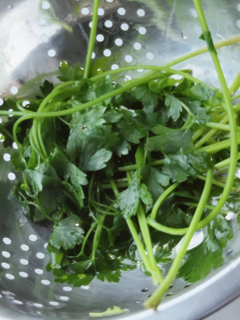 Blanched parsley draining in a colander